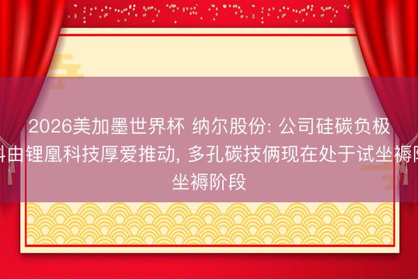 2026美加墨世界杯 纳尔股份: 公司硅碳负极材料由锂凰科技厚爱推动, 多孔碳技俩现在处于试坐褥阶段