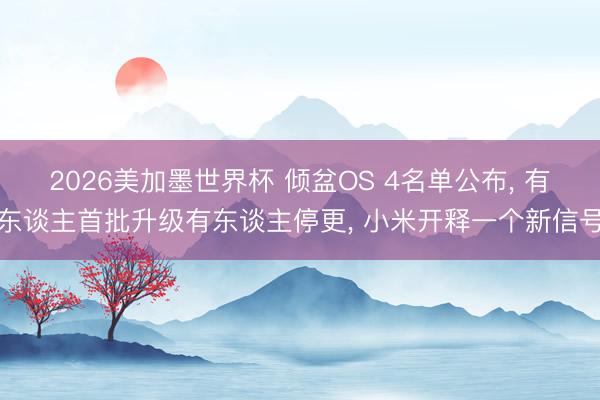2026美加墨世界杯 倾盆OS 4名单公布, 有东谈主首批升级有东谈主停更, 小米开释一个新信号